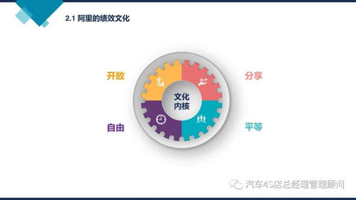阿里巴巴组织能力建设 驱动企业持续增长的管理新范式