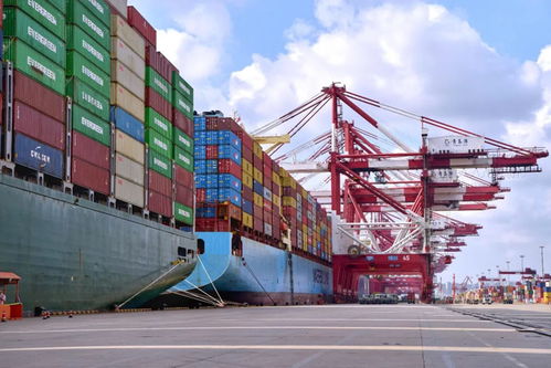 吞吐量之外 山东港口以“新质服务”开辟发展新路